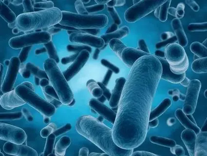 ProDentim ingredient illustration: Lactobacillus reuteri
